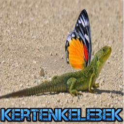 kertenkelebek